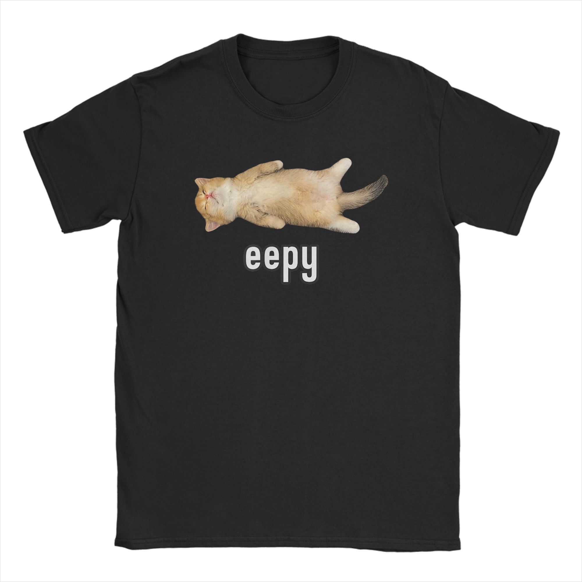 Summer Clothing Ideas For Women - Womens Eepy Cat T Shirt Silly
